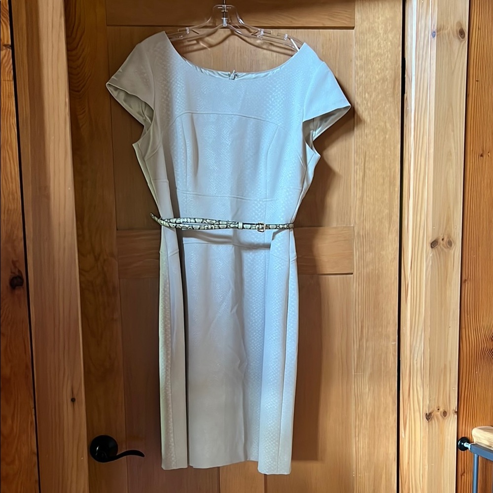 Tahari ASL Cream Sheath Dress with Dolman Sleeves